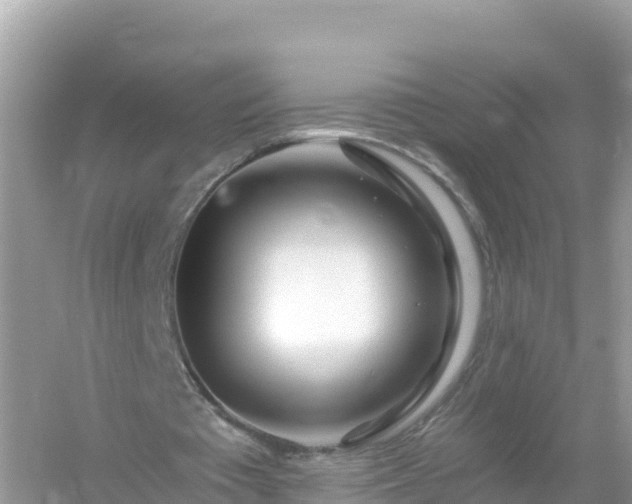 X0000054460385200508051956