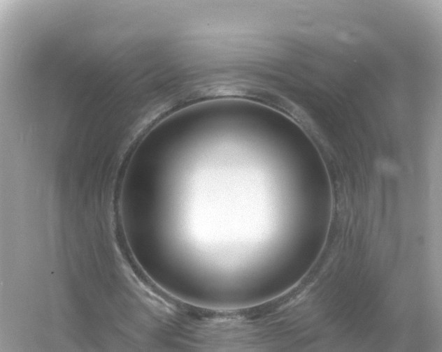 X0000054460386200508051956