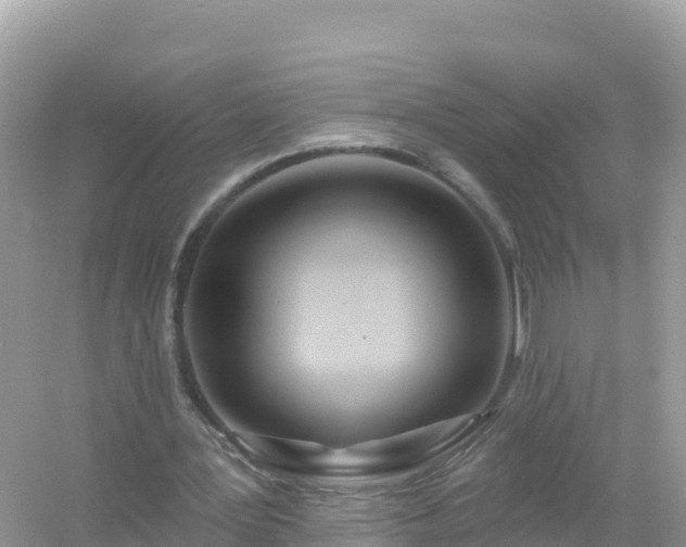 X0000054460387200508051956