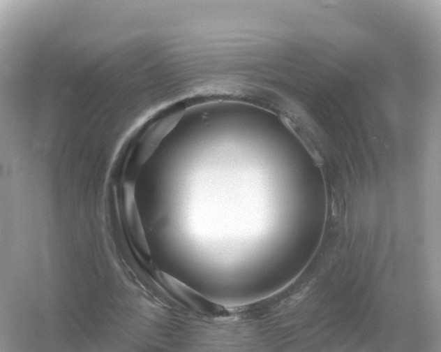 X0000054460388200508051956