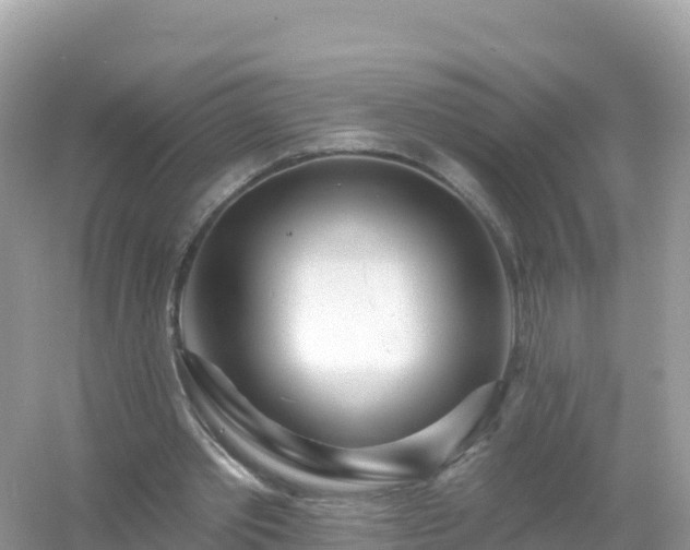 X0000054460389200508051956