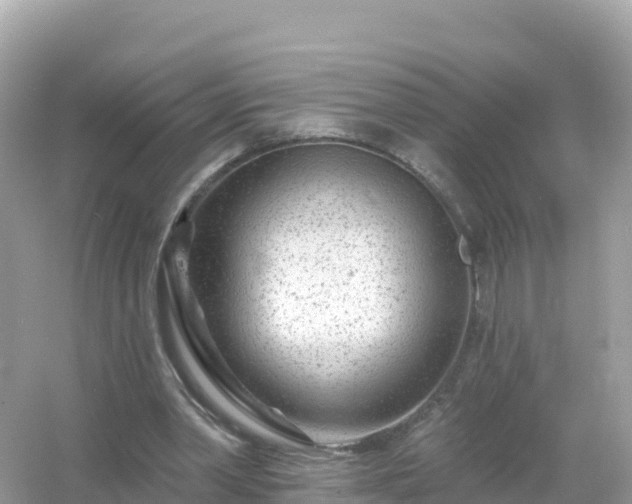 X0000054460390200508051956