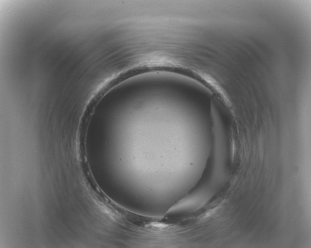 X0000054460391200508051956