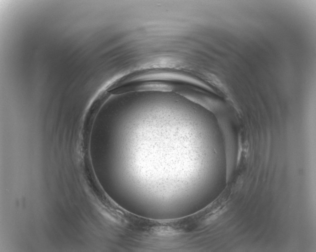 X0000054460392200508051956