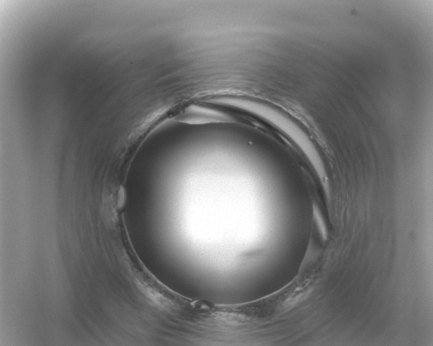 X0000054460393200508051956