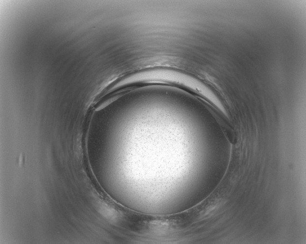 X0000054460394200508051956