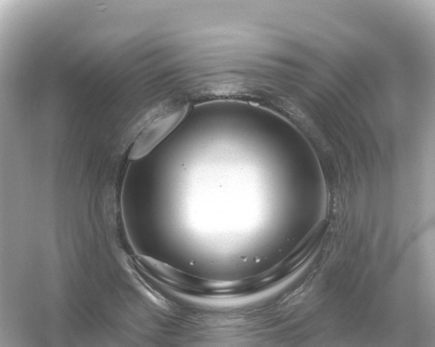 X0000054460397200508051956