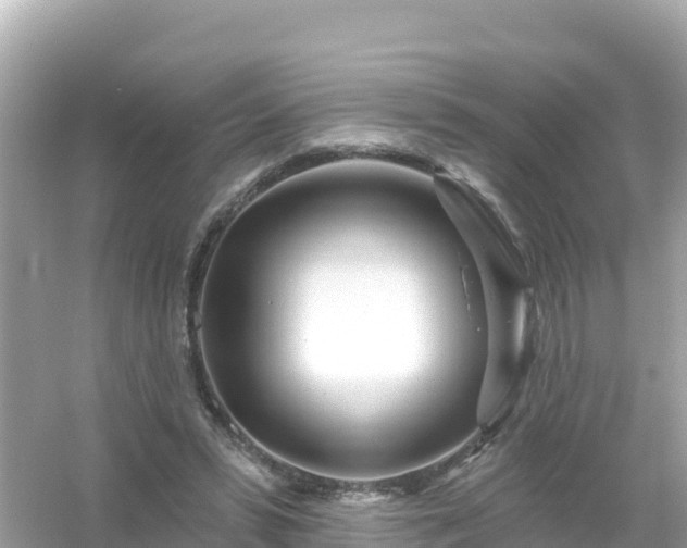 X0000054460399200508051956