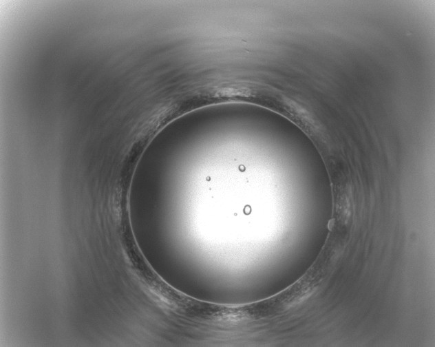 X0000054460402200508051956