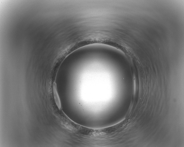 X0000054460403200508051956