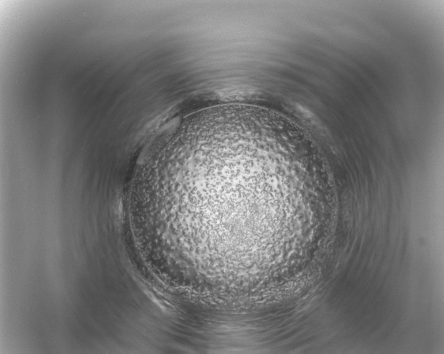 X0000054460405200508051956