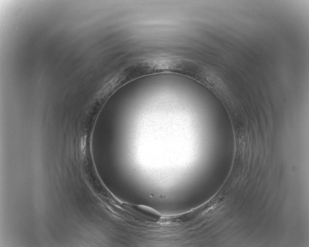 X0000054460406200508051956