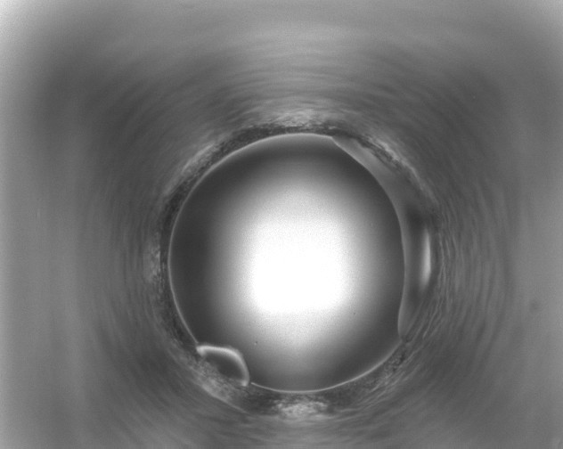 X0000054460407200508051956