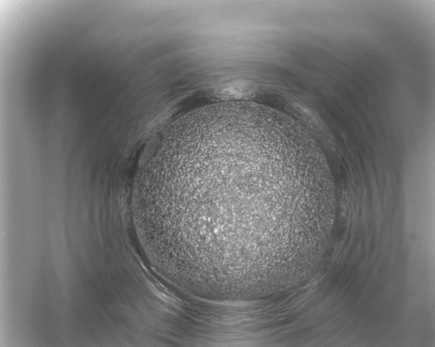 X0000054460409200508051956