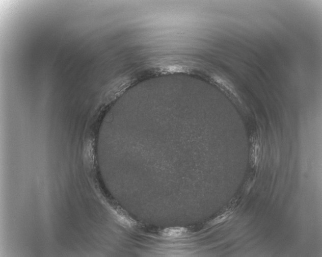 X0000054460410200508051956