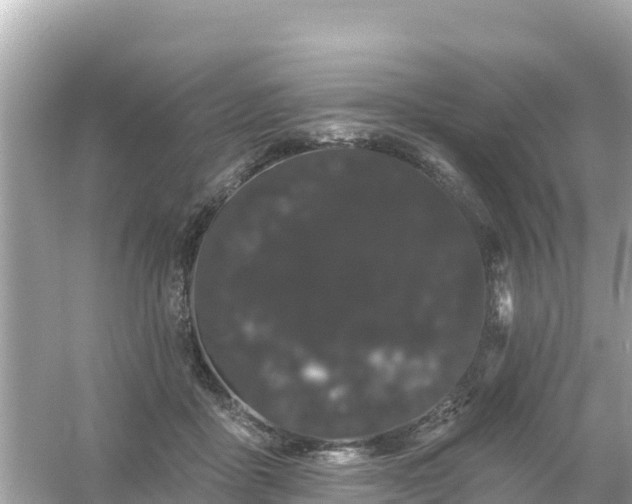 X0000054460411200508051956