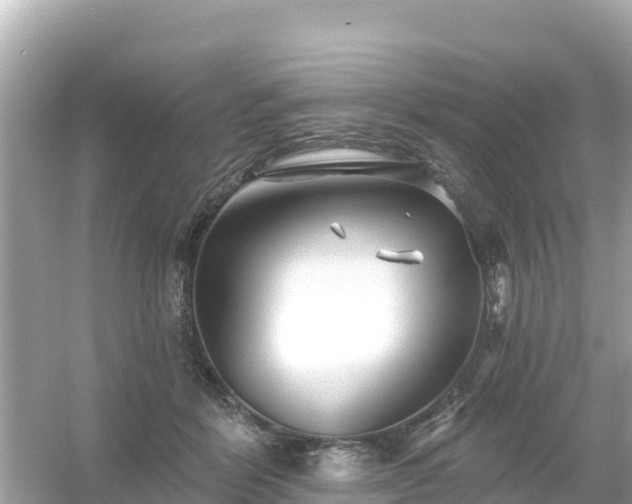 X0000054460412200508051956