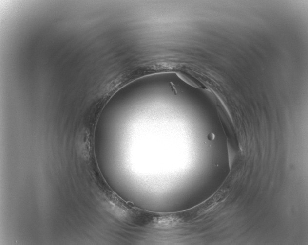 X0000054460414200508051956