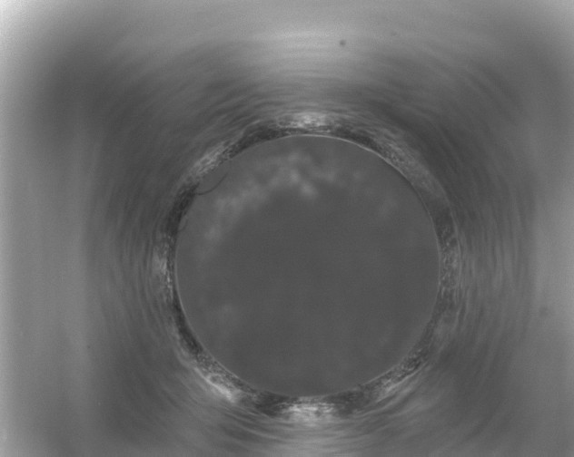 X0000054460415200508051956