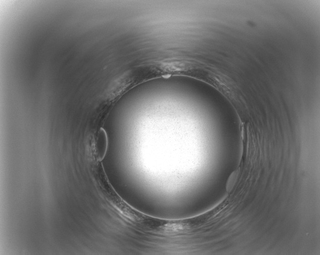 X0000054460418200508051956