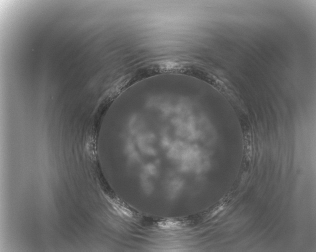 X0000054460419200508051956