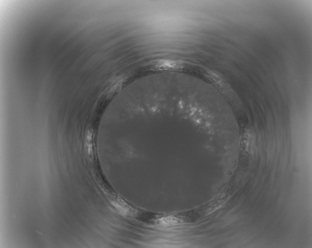 X0000054460423200508051956