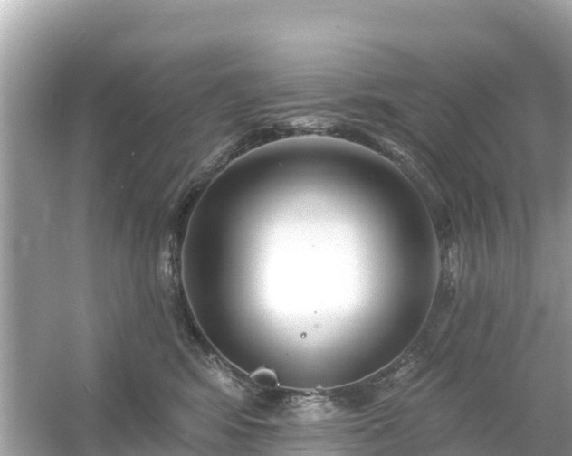 X0000054460424200508051956