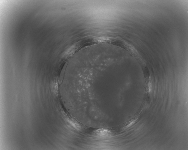 X0000054460427200508051956