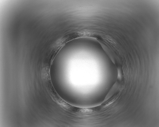 X0000054460429200508051956