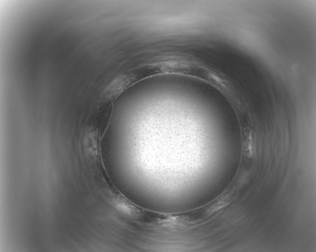 X0000054460430200508051956