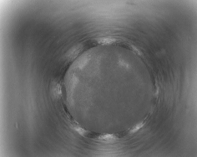 X0000054460431200508051955