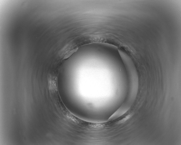 X0000054460432200508051955