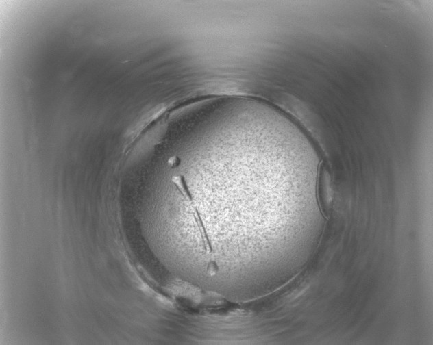 X0000054460433200508051955