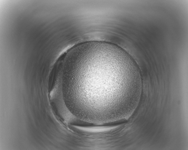 X0000054460434200508051955