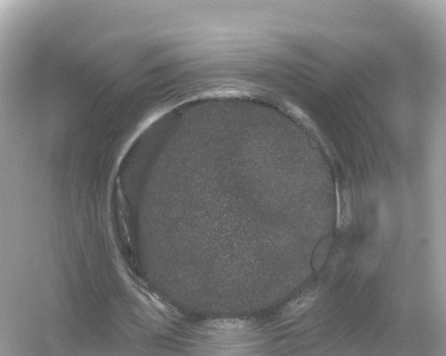 X0000054460435200508051955