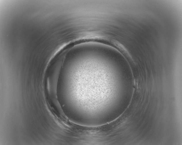 X0000054460436200508051955