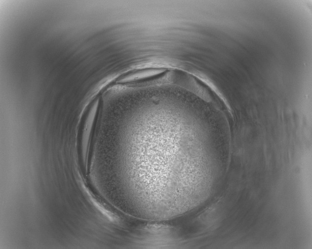 X0000054460437200508051955