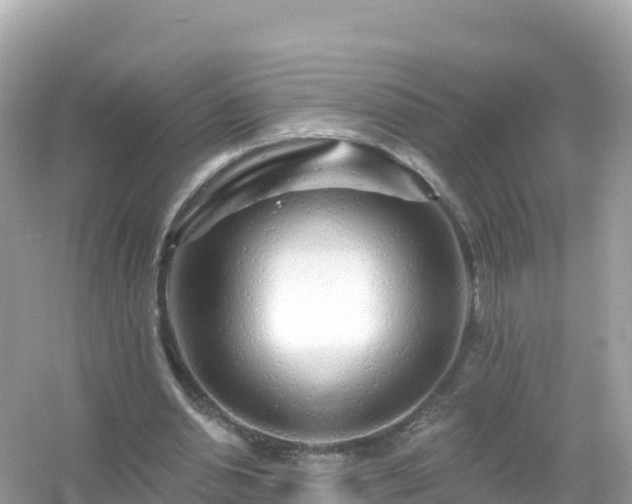 X0000054460438200508051955