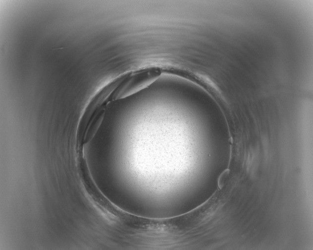 X0000054460439200508051955