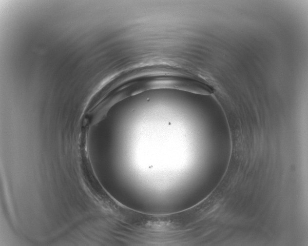 X0000054460440200508051955