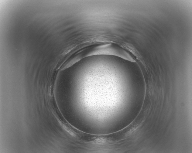 X0000054460441200508051955