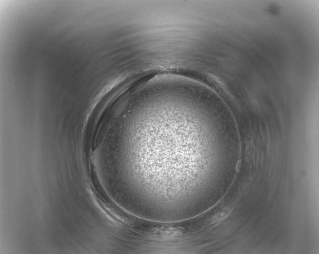 X0000054460443200508051955