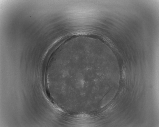 X0000054460444200508051955