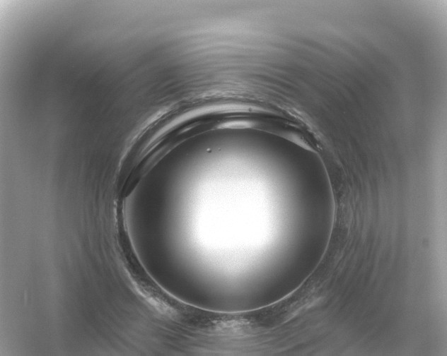 X0000054460446200508051955