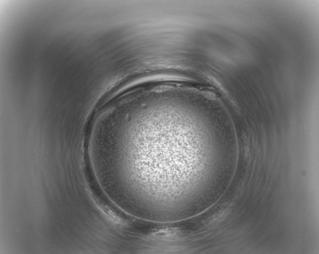 X0000054460447200508051955