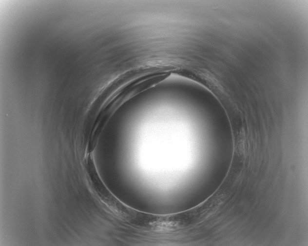 X0000054460448200508051955