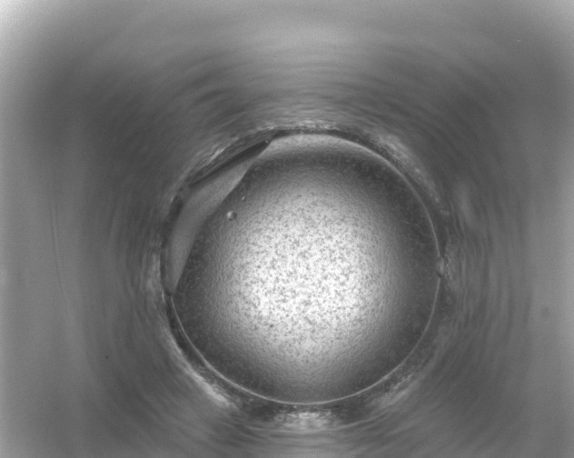 X0000054460449200508051955