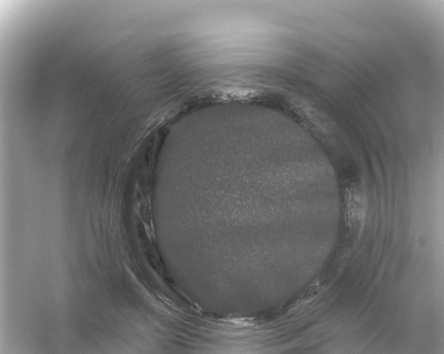 X0000054460451200508051955