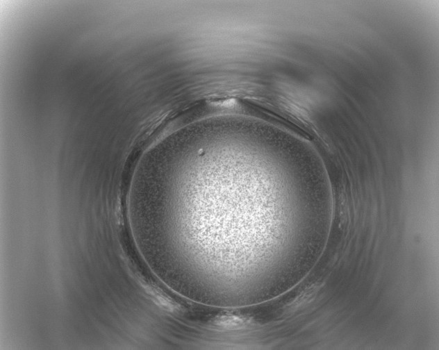 X0000054460453200508051955