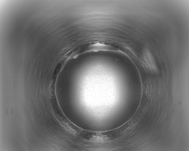 X0000054460455200508051955